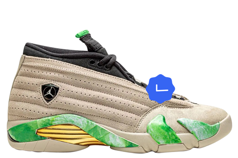 Aleali May x Air Jordan 14